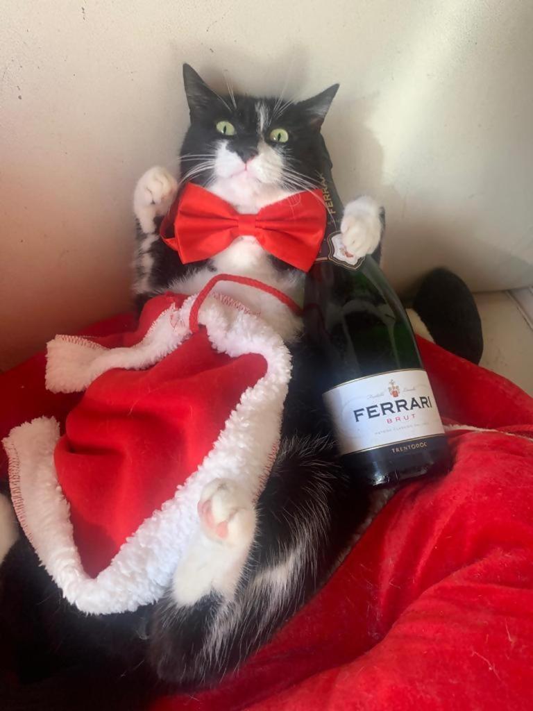 Piazzaitaliasuite Con Terrazza *